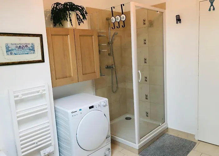 Magnifique Proche Centre-ville Et Gare Chemin Du Barrage Apartment *