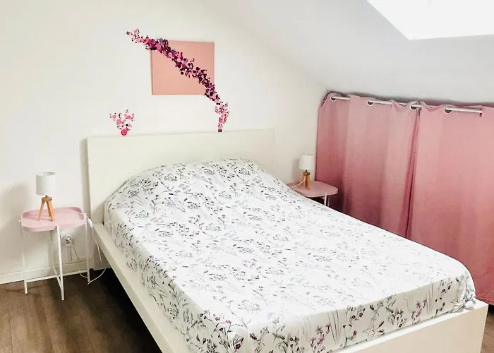 Apartment Magnifique Proche Centre-ville Et Gare Chemin Du Barrage