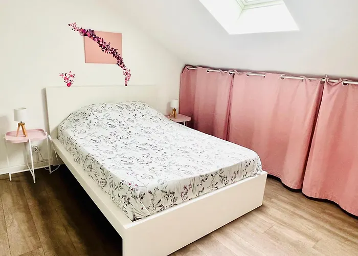 Apartment Magnifique Proche Centre-ville Et Gare Chemin Du Barrage